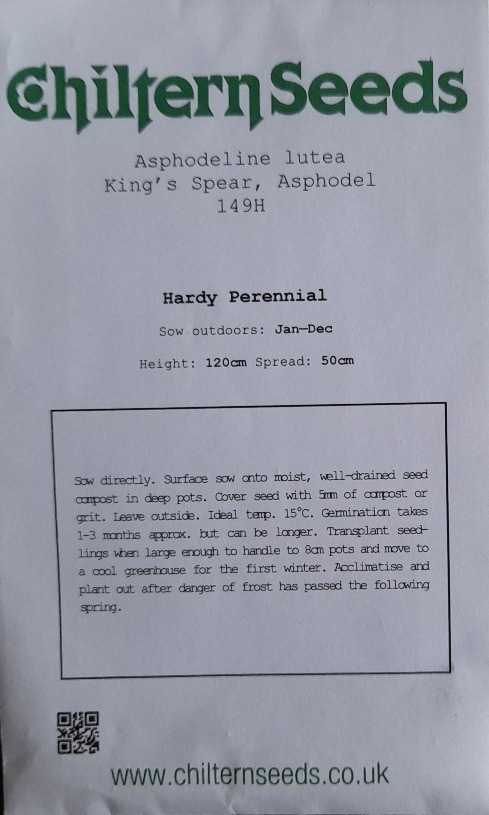 asphodeline lutea seed packet