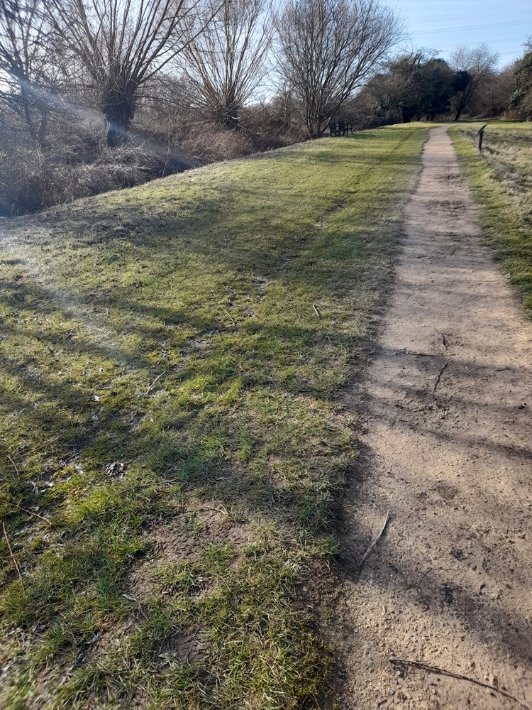 rye meads severe mowing