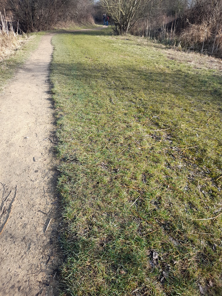 rye meads severe mowing
