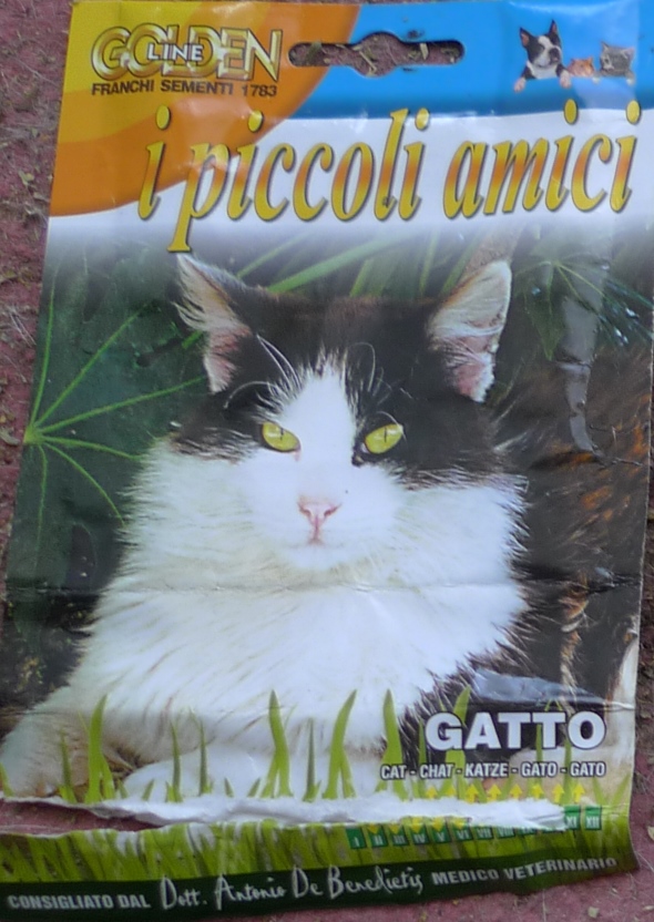 Franchi catnip seed packet