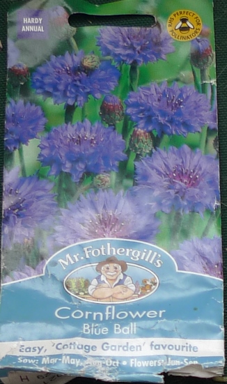 cornflower seed packet Mr Fothergills