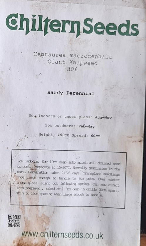 giant knapweed seed packet