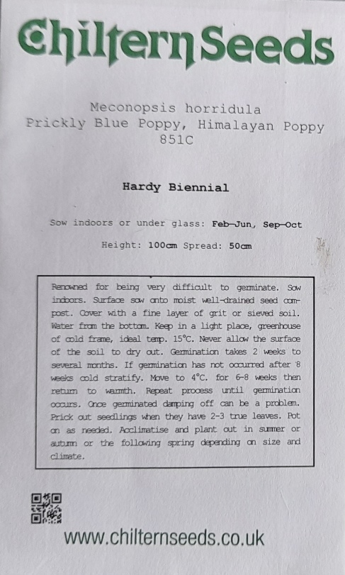 prickly poppy seed packet