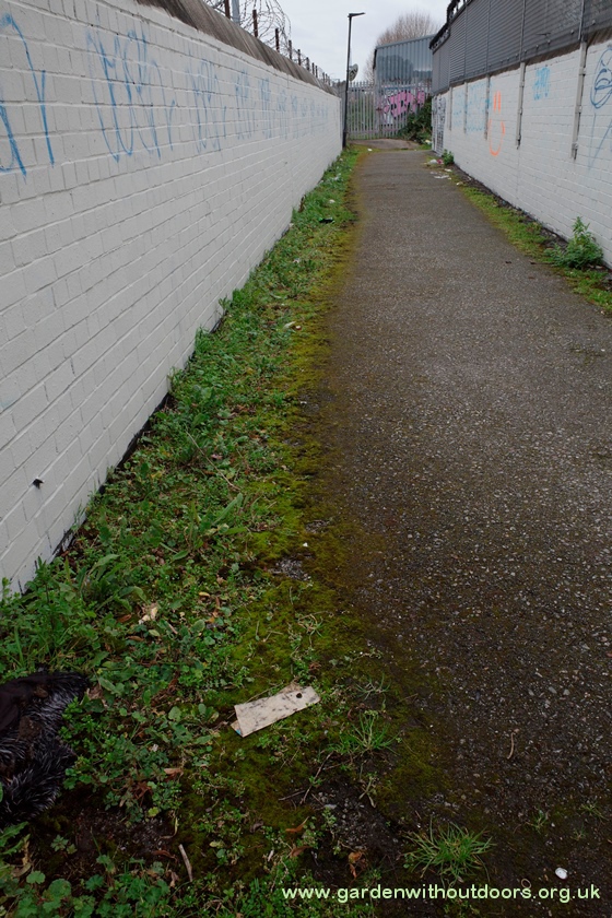 green bridge camley street maiden lane