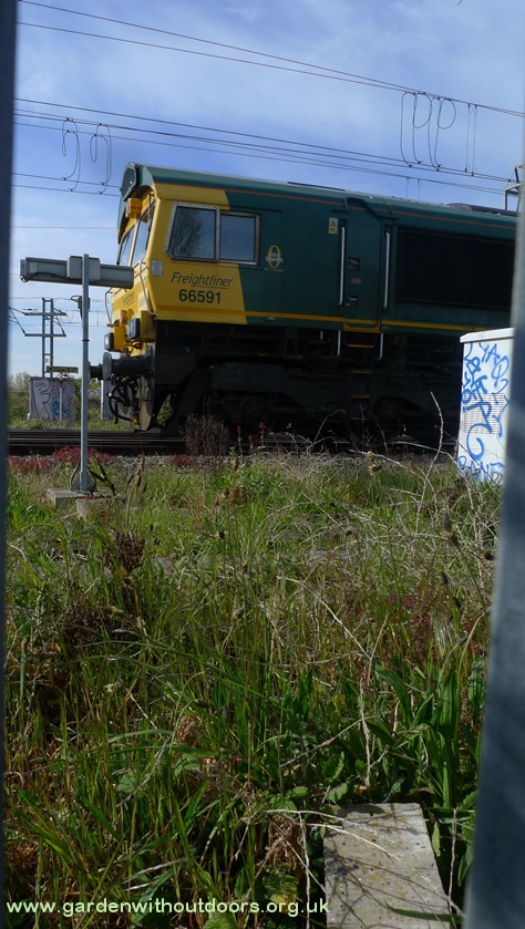 railway camley street maiden lane