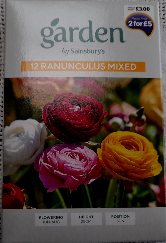 Sainsburys ranunculus