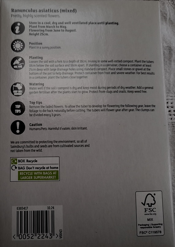 sainsburys ranunculus