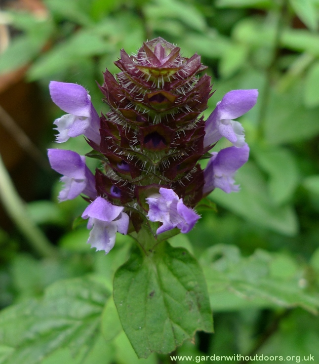 self-heal 