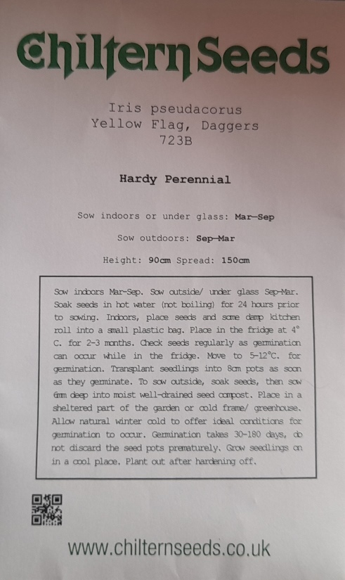 yellow flag seed packet